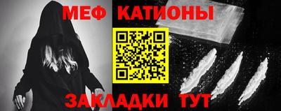 стафф Кингисепп