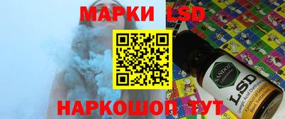 стафф Кингисепп