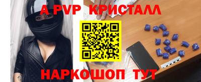 стафф Кингисепп