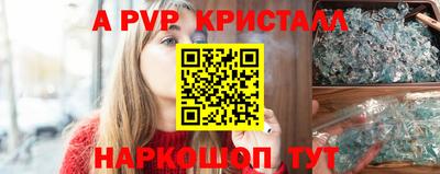 стафф Кингисепп