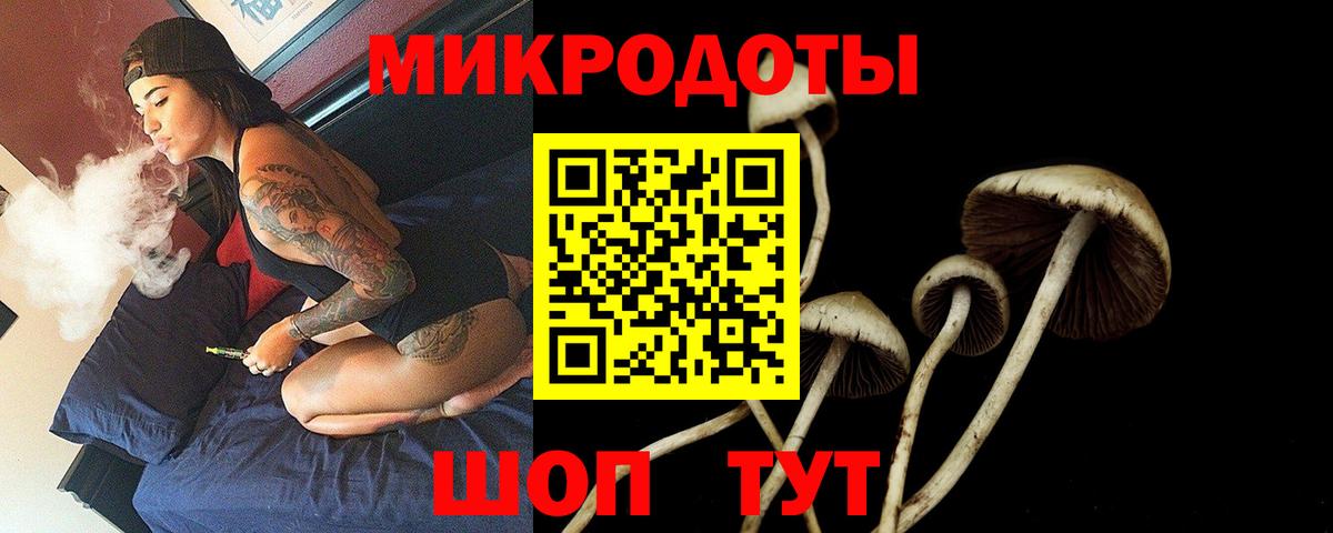 Кизляр  купить наркотик  Галлюциногенные грибы Magic Shrooms  Вход с VPN  Галлюциногенные грибы мицелий 